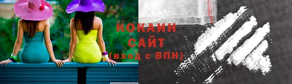 тгк Вяземский