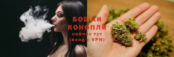 тгк Вяземский