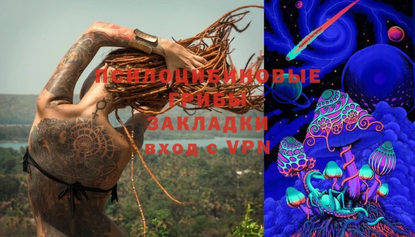 тгк Вяземский