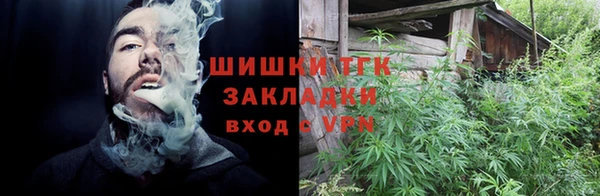тгк Вяземский