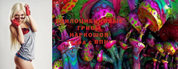 тгк Вяземский
