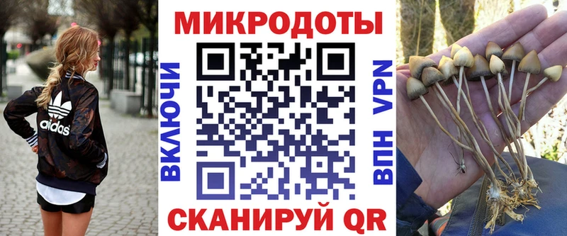Галлюциногенные грибы мухоморы  Купить  Кулебаки 
